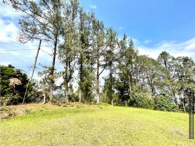 Expansive Land and Beautiful Home in Guarne, Antioquia - image 4