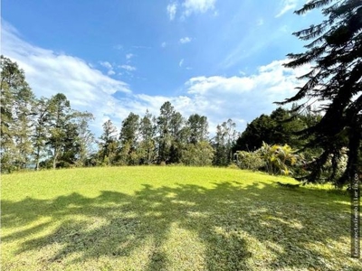 Expansive Land and Beautiful Home in Guarne, Antioquia - image 14