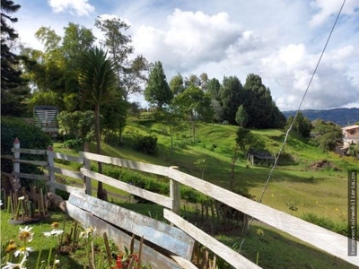 Homey farm with amazing view in Guarne - image 15