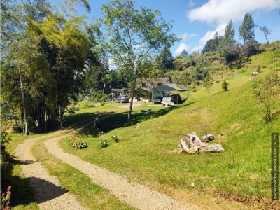 Homey farm with amazing view in Guarne - image 14