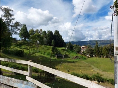 Homey farm with amazing view in Guarne - image 24