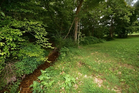 2 Bedroom 1.5 bath Historic home on 1.4 acres of Land $220k - image 40