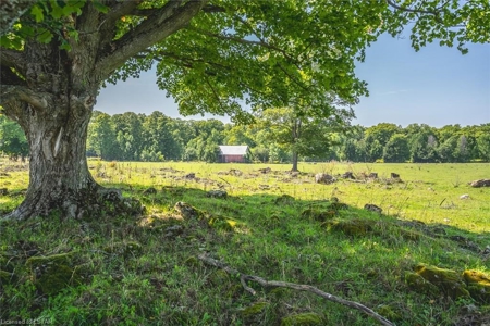 Former Elk Farm in Owen Sound For Sale - image 26