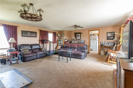 Former Elk Farm in Owen Sound For Sale - image 8