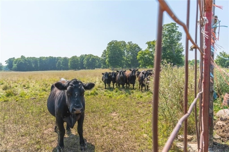 Former Elk Farm in Owen Sound For Sale - image 21