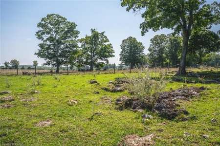 Former Elk Farm in Owen Sound For Sale - image 23