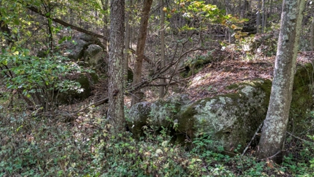 Driftless Area Home, Venue and Hunting Vernon County WI - image 46