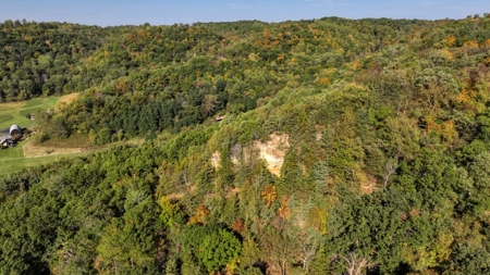 Driftless Area Home, Venue and Hunting Vernon County WI - image 43