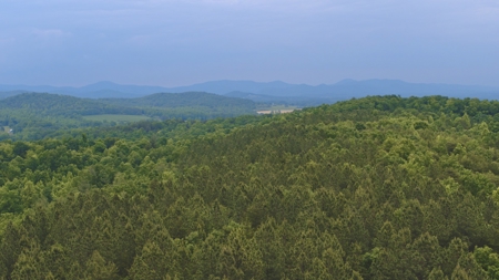 NC Land For Sale/ Alexander County Land For Sale/ Timberland - image 4