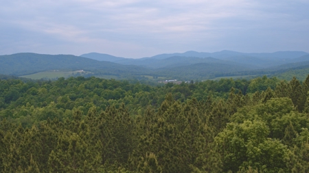 NC Land For Sale/ Alexander County Land For Sale/ Timberland - image 8