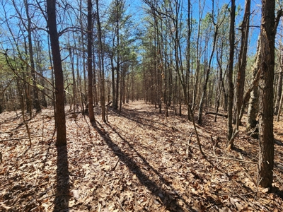 NC Land For Sale/ Alexander County Land For Sale/ Timberland - image 17