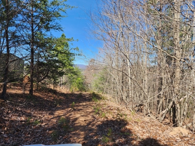 NC Land For Sale/ Alexander County Land For Sale/ Timberland - image 41