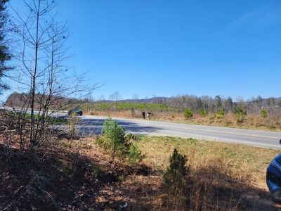 NC Land For Sale/ Alexander County Land For Sale/ Timberland - image 42