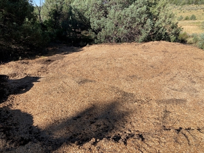 Four Potential Building/RV Sites Already In Place! - image 23