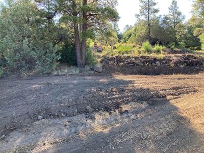 Four Potential Building/RV Sites Already In Place! - image 13