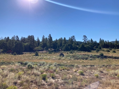 Four Potential Building/RV Sites Already In Place! - image 26