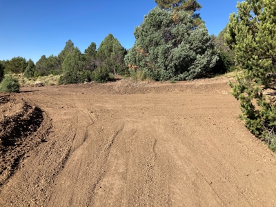 Four Potential Building/RV Sites Already In Place! - image 30