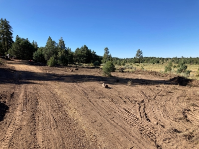 Four Potential Building/RV Sites Already In Place! - image 11