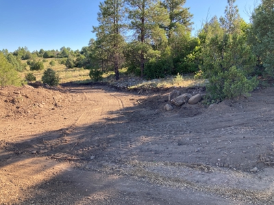 Four Potential Building/RV Sites Already In Place! - image 12