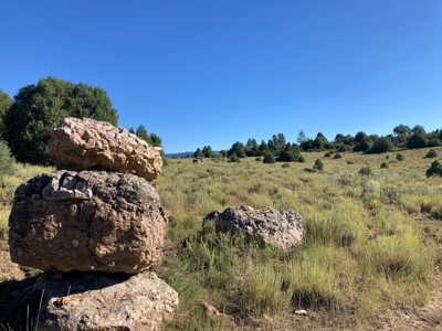 Four Potential Building/RV Sites Already In Place! - image 34