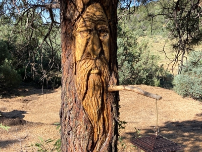 Four Potential Building/RV Sites Already In Place! - image 16