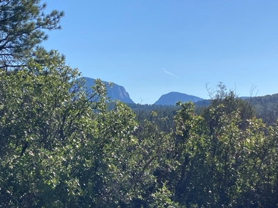 Four Potential Building/RV Sites Already In Place! - image 3