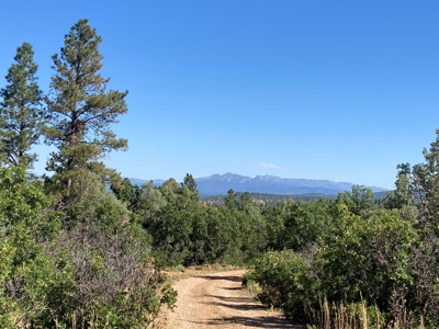 Four Potential Building/RV Sites Already In Place! - image 36