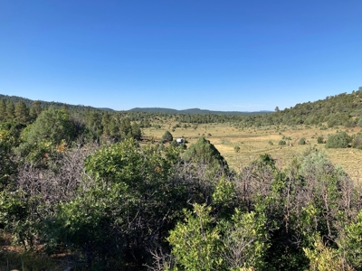 Four Potential Building/RV Sites Already In Place! - image 5