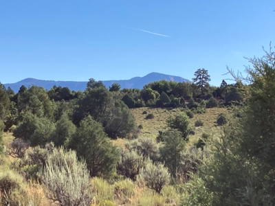 Four Potential Building/RV Sites Already In Place! - image 29