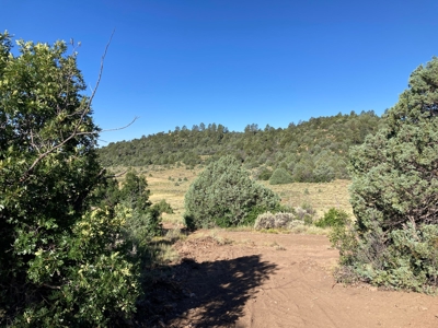 Four Potential Building/RV Sites Already In Place! - image 9