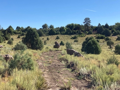 Four Potential Building/RV Sites Already In Place! - image 33