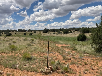Nearly 20 Acres with No HOA in Seligman AZ - image 1