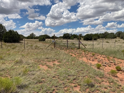 Nearly 20 Acres with No HOA in Seligman AZ - image 4