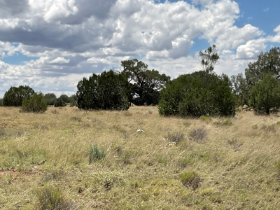 Nearly 20 Acres with No HOA in Seligman AZ - image 5