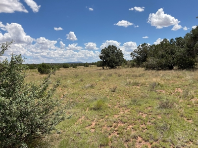 Nearly 20 Acres with No HOA in Seligman AZ - image 3