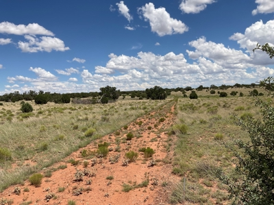 Nearly 20 Acres with No HOA in Seligman AZ - image 2