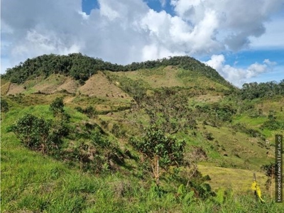 Land close to Guatape - image 1