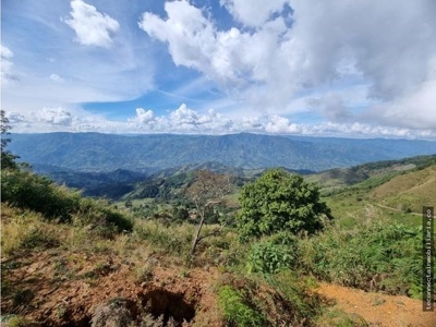 Land close to Guatape - image 6