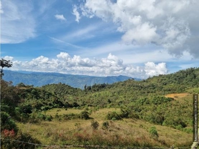 Land close to Guatape - image 3