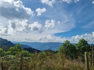 Land close to Guatape - image 4