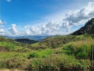 Land close to Guatape - image 7