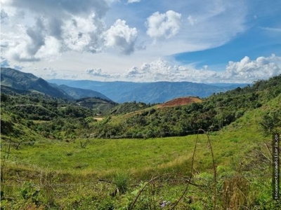 Land close to Guatape - image 5