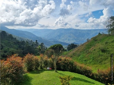 Land close to Guatape - image 2