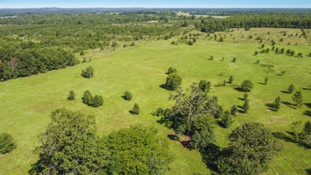Beautiful Farm w/ Lush Pasture in West Plains, MO for Sale - image 6