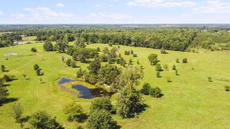 Beautiful Farm w/ Lush Pasture in West Plains, MO for Sale - image 10