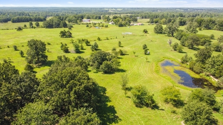Beautiful Farm w/ Lush Pasture in West Plains, MO for Sale - image 12