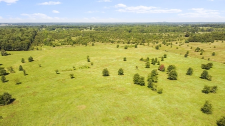 Beautiful Farm w/ Lush Pasture in West Plains, MO for Sale - image 9