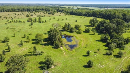Beautiful Farm w/ Lush Pasture in West Plains, MO for Sale - image 4