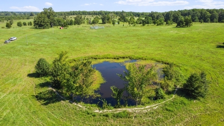 Beautiful Farm w/ Lush Pasture in West Plains, MO for Sale - image 7