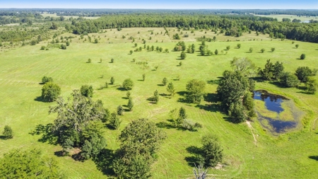 Beautiful Farm w/ Lush Pasture in West Plains, MO for Sale - image 5